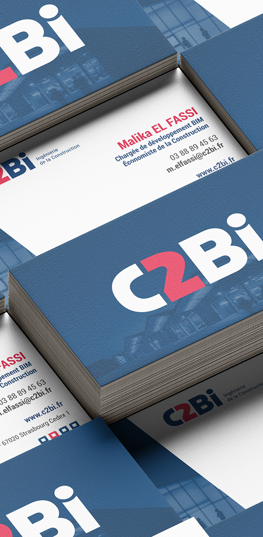 Identité visuelle - C2Bi