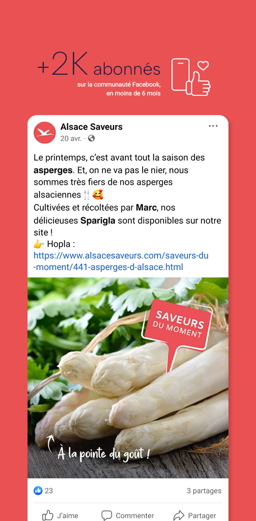 Réseaux sociaux : Nombre d'abonnés Alsace Saveurs