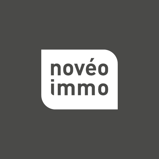 Identité visuelle : Logo sur fond gris - Novéo Immo
