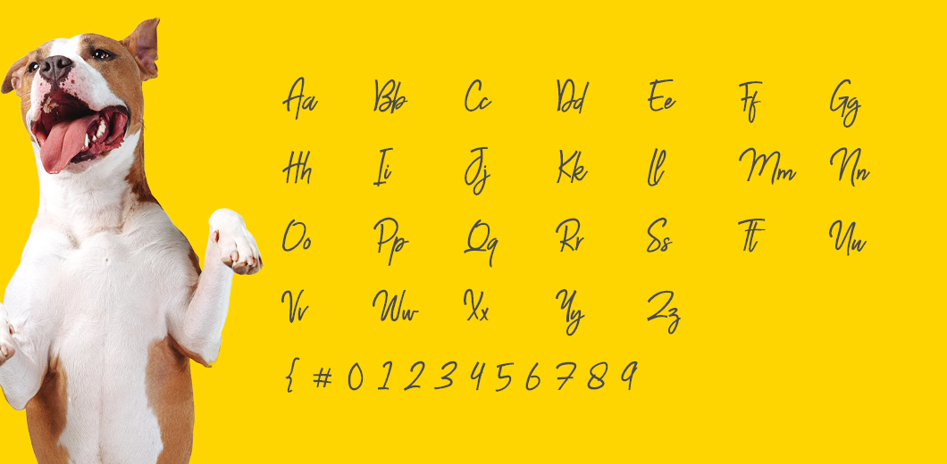 Identité visuelle : Typographie & chien - Novéo Immo