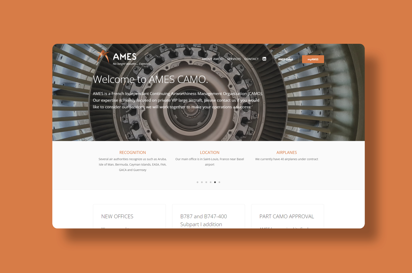 Site vitrine : Ames camo