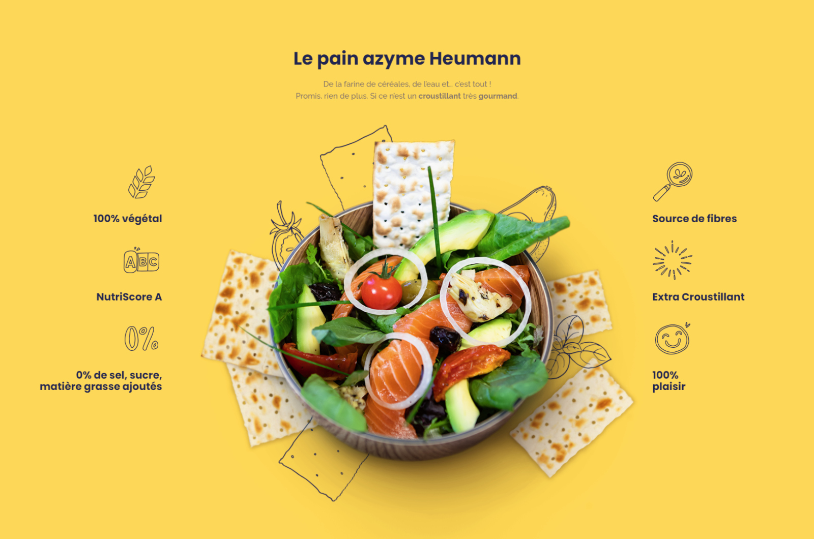 Identité visuelle - création de site internet Heumann