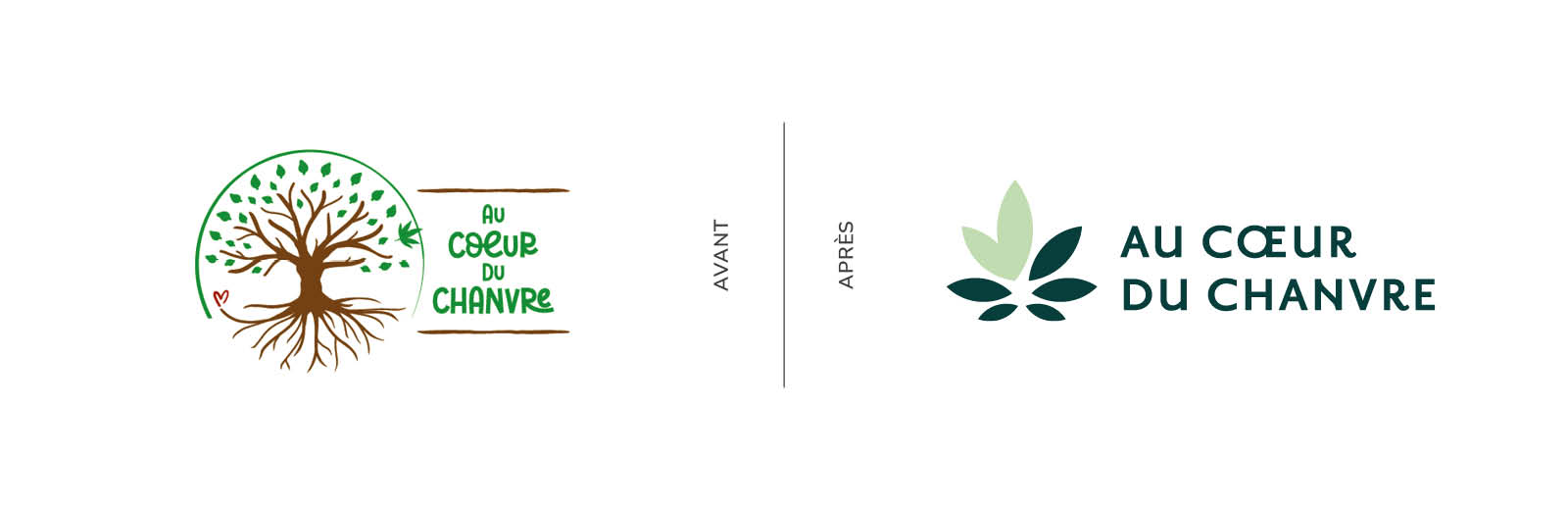 Identité visuelle - évolution du logo Au Cœur du Chanvre