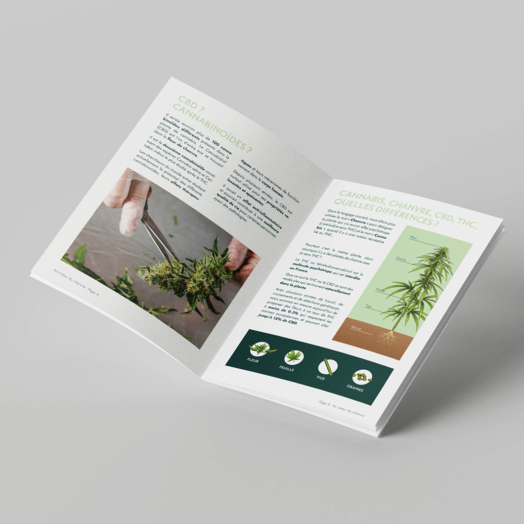 Identité visuelle - Catalogue Au Coeur du Chanvre
