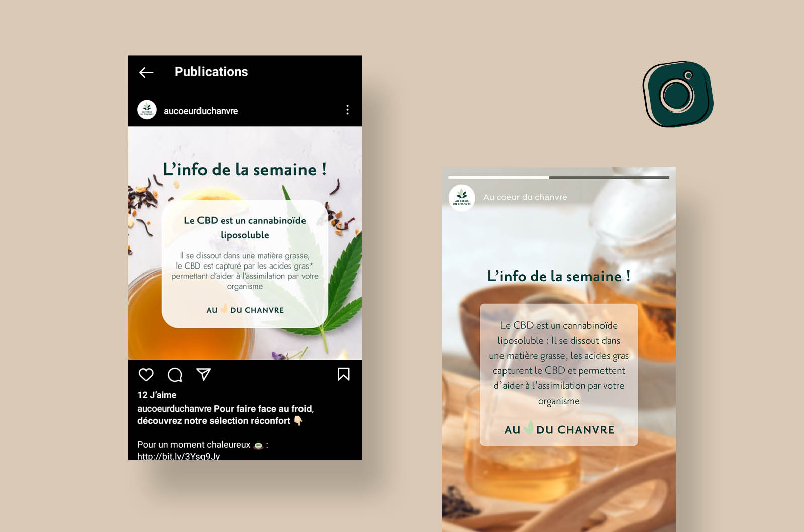 Identité visuelle - réseaux sociaux Au Cœur du Chanvre