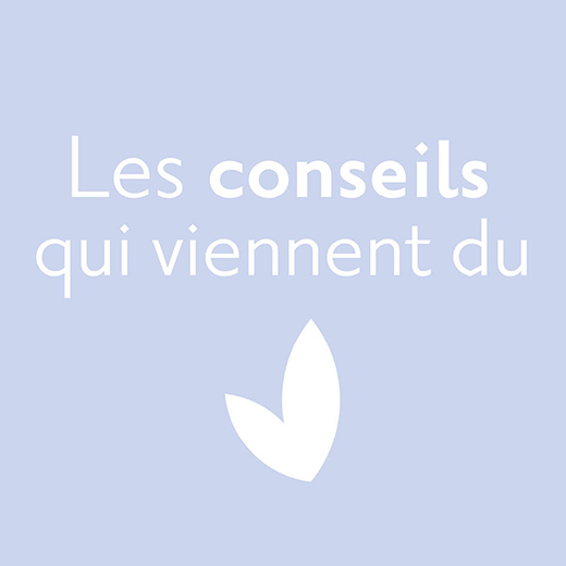 Identité visuelle - Réseaux sociaux conseils Au Coeur du Chanvre