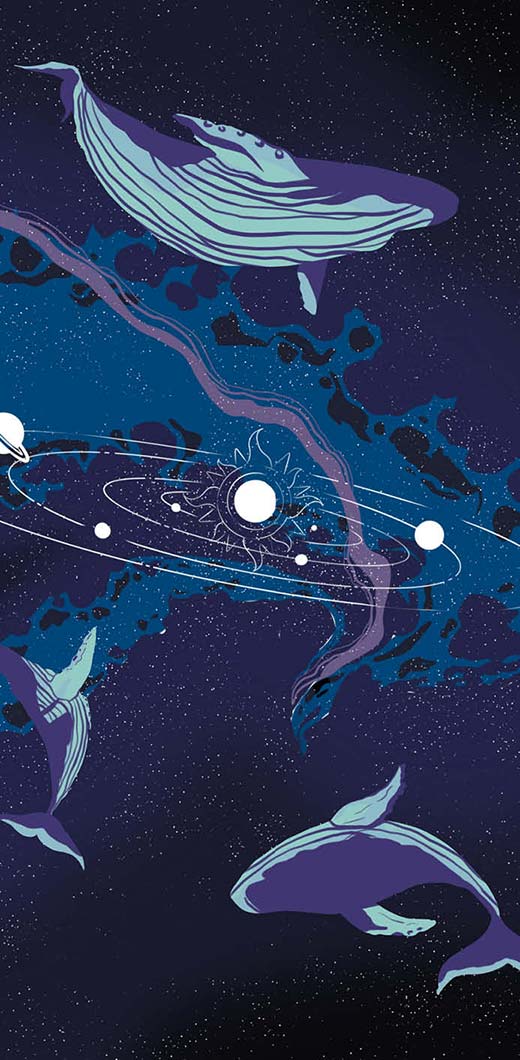 Identité visuelle - Illustration Astral