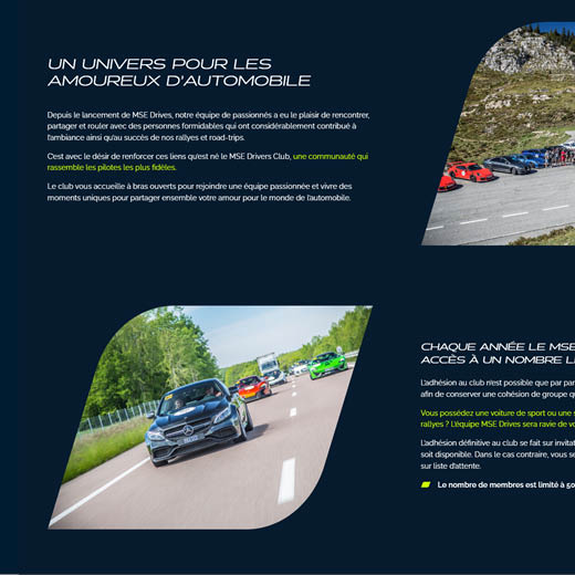 Identité visuelle - site internet MSEDrives