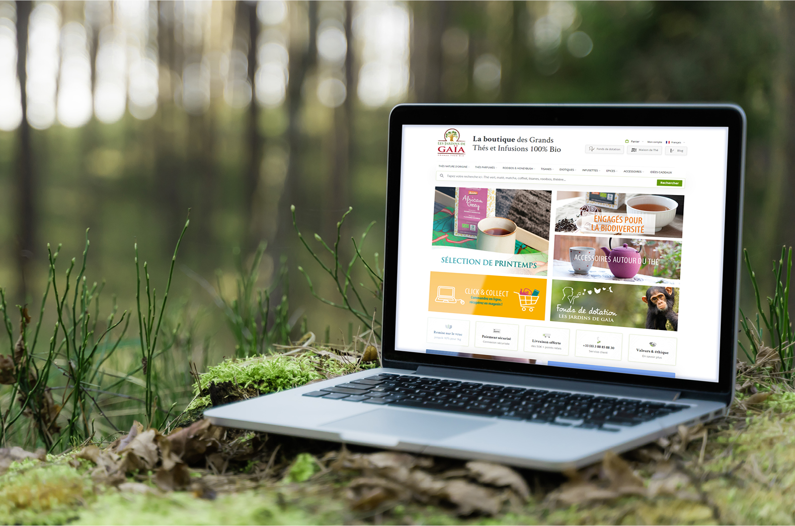 Création d'une boutique en ligne et d'un blog