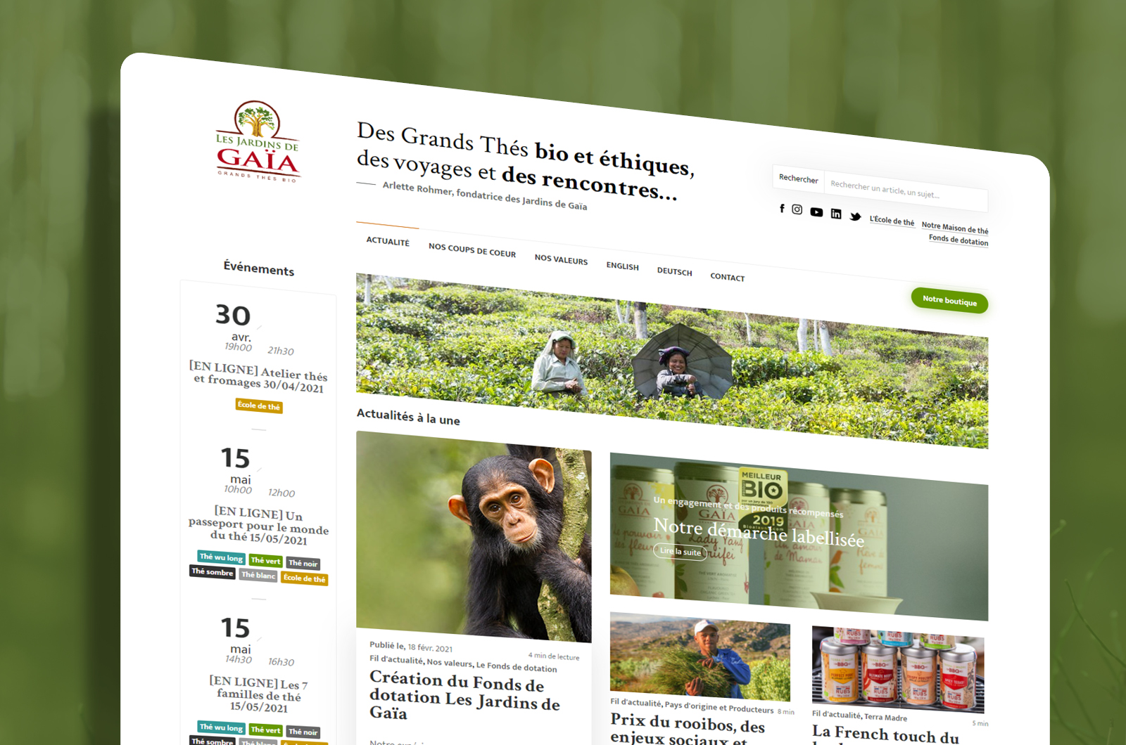 Identité visuelle - Les jardins de Gaïa site e-commerce navigation