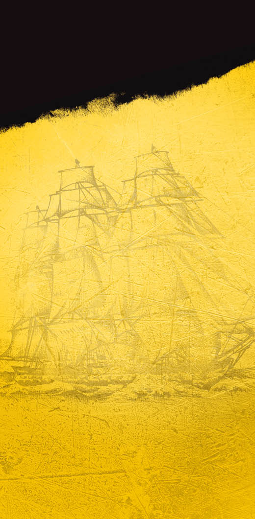 Identité visuelle - Brasserie Licorne fond navire