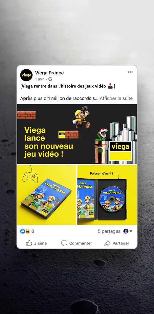 Identité visuelle - Viega