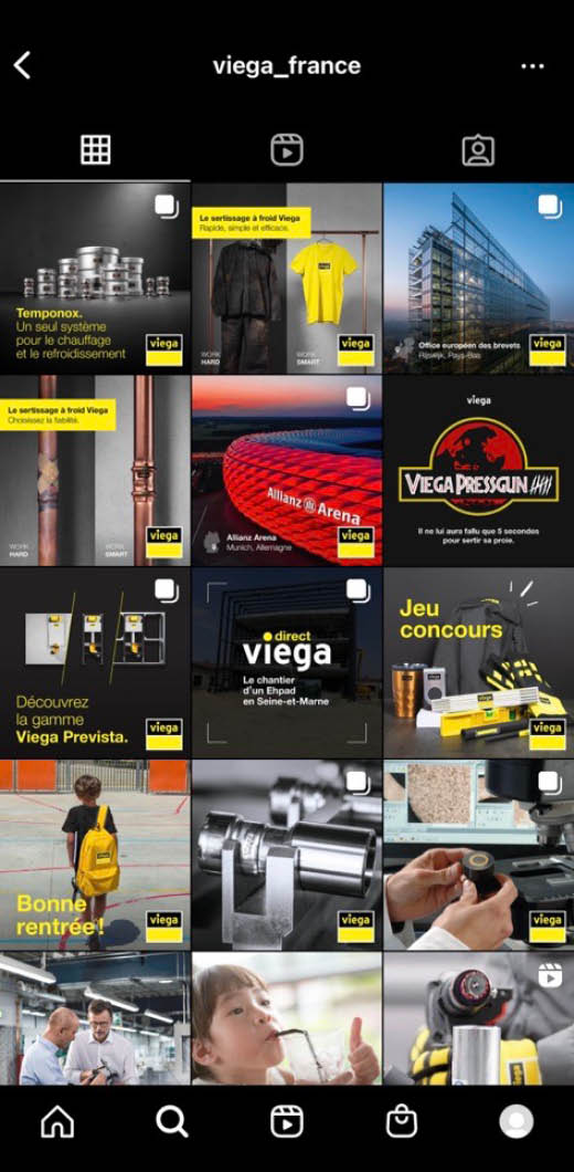 Identité visuelle - Viega