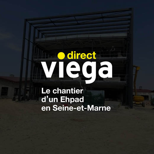 Identité visuelle - Viega