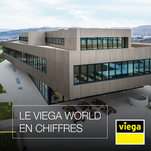 Identité visuelle - Viega