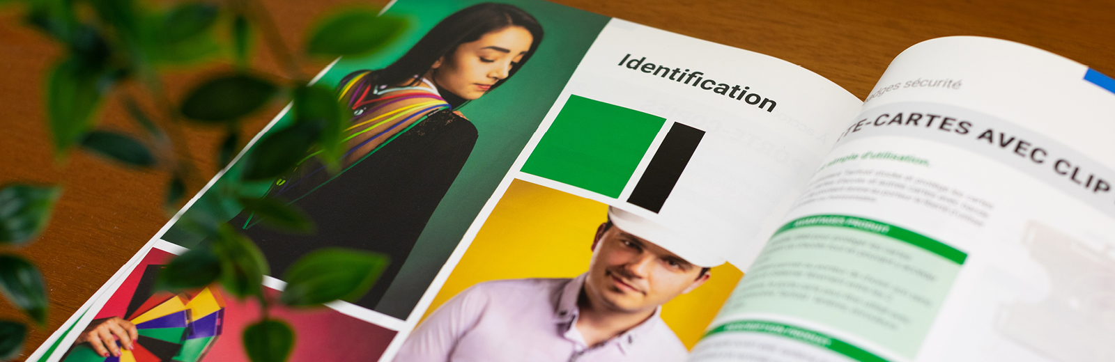 Identité visuelle - Tarifold - catalogues et brochures