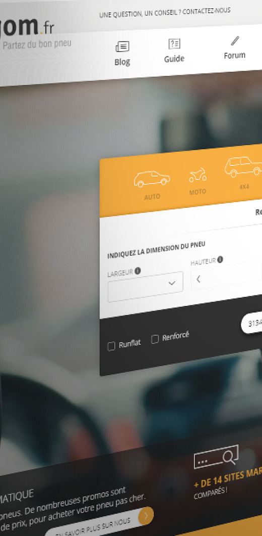 Identité visuelle - Site Tiregom