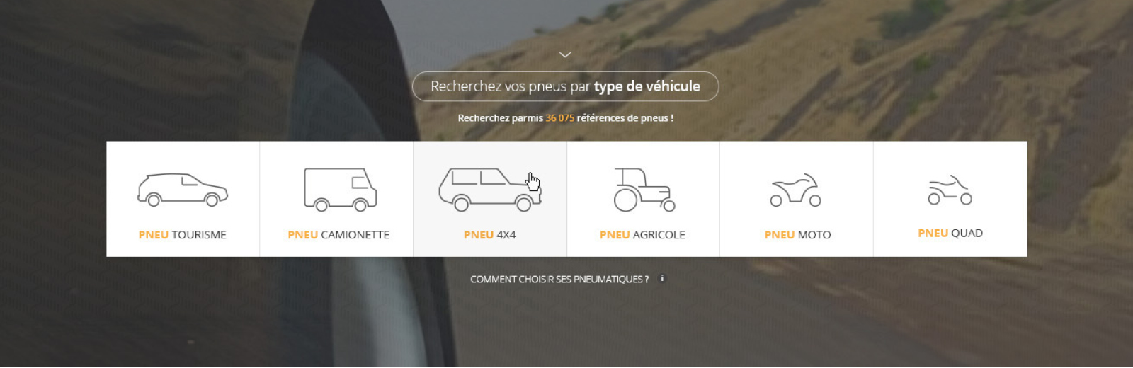Identité visuelle - Site Tiregom